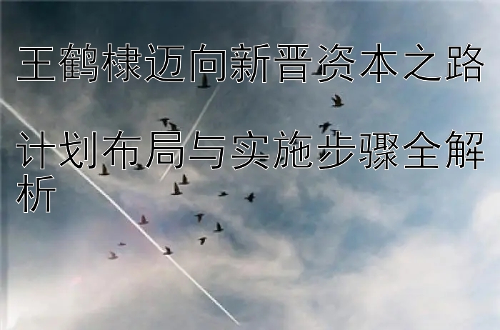 王鹤棣迈向新晋资本之路  
计划布局与实施步骤全解析